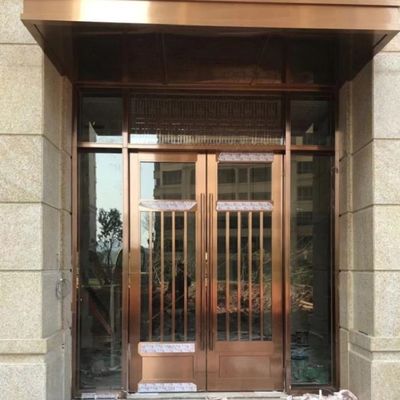 Acier inoxydable décoratif adapté aux besoins du client Front Doors For Homes de porte d'entrée de sécurité