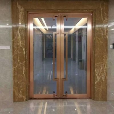 হার্ডওয়্যার এবং হ্যান্ডেল সহ জলরোধী আলংকারিক প্রবেশদ্বার স্টেইনলেস স্টীল